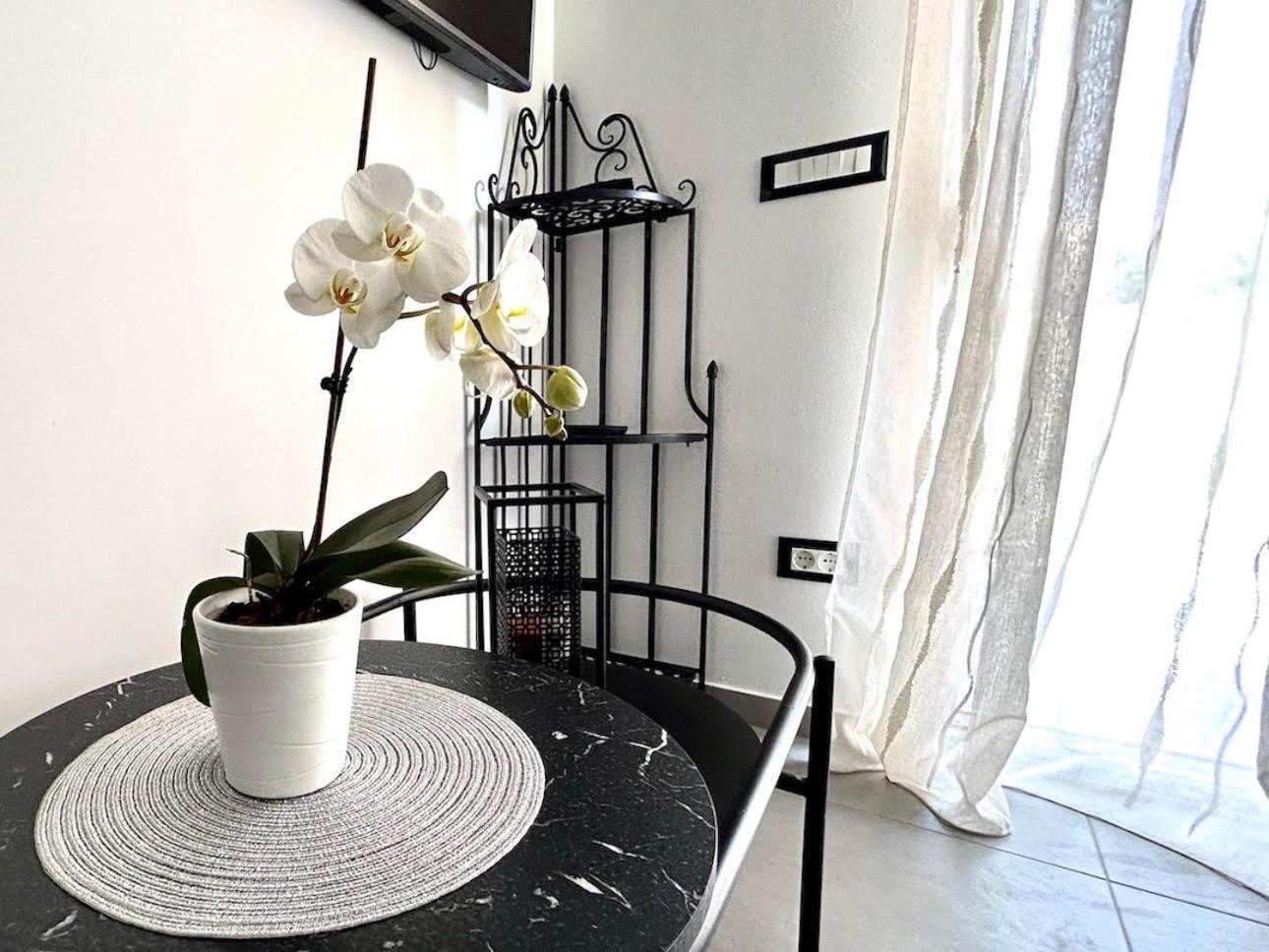 Apartment Diva Zambratija  Eksteriør bilde